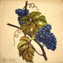 064 Grapes - 3-ply - Home Fashion